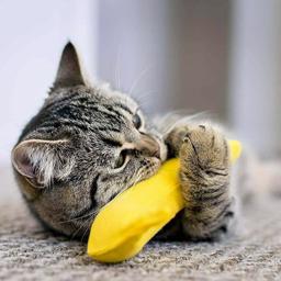 BAM Kattmynta Banan Festlig Kattleksak Med Kattmynta