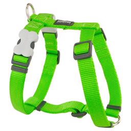 Röd Dingo Classic hundsele Lime Green