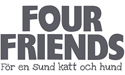 Four Friends