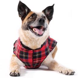 GoldPaw Dog Fleece Stretch Pullover Röd Tartan