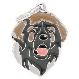 My Family Dog Tag med Leonberger