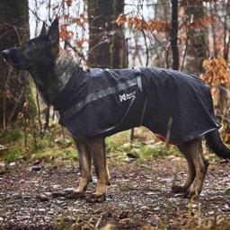 Regnjacka för hunden