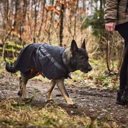 Regnjacka för hunden