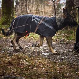 Regnjacka för hunden