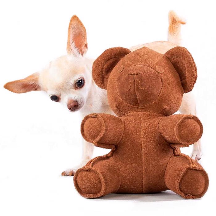 Paikka Teddy Toy Nalle för hunden