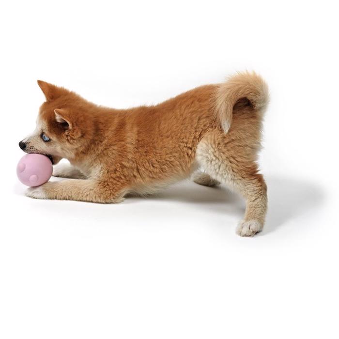 Petit BALU Puppy Toys Wobbler Fun Pink