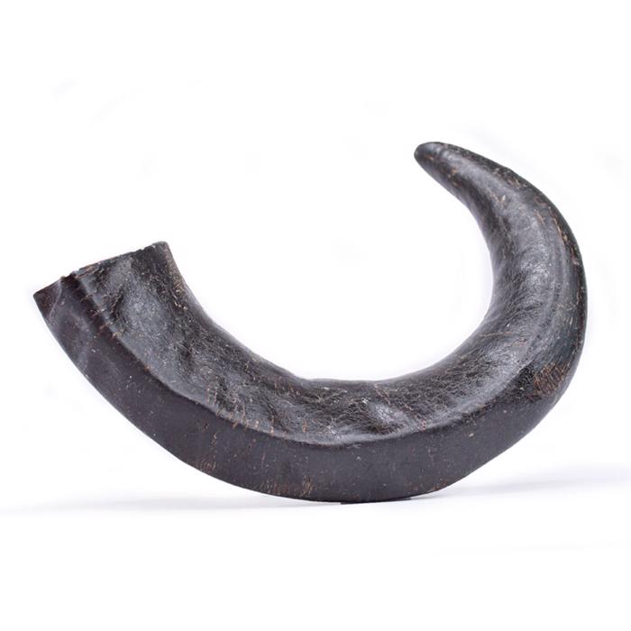 Snack It Buffalo Horn Hårt tuggsnack för hundar MEDIUM