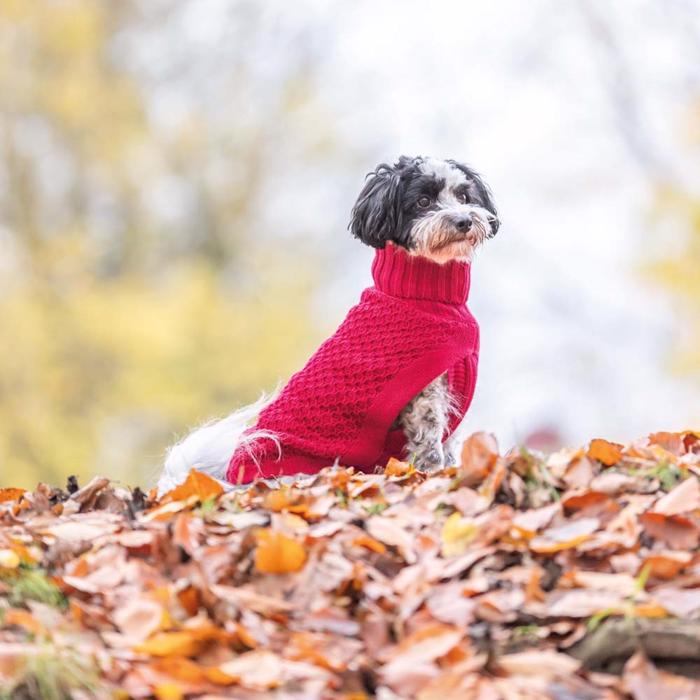 Trixie Stickad Pullover Tröja För Hunden Design Norwood Röd