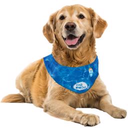 All For Paws Chill Out Ice Bandana Smart Cooling Scarf