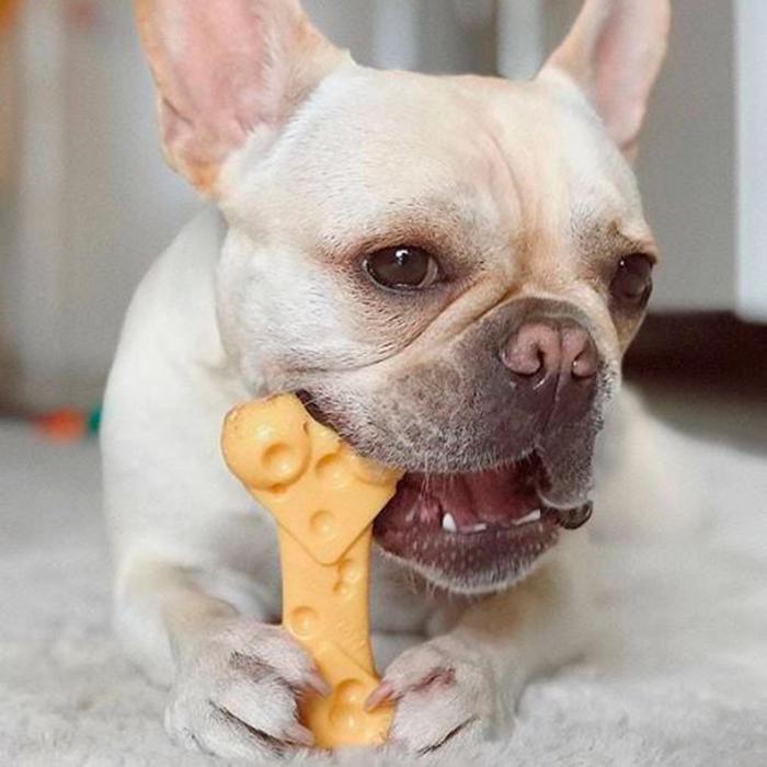 Nylabone Extreme Chew Cheese Bone Chew-smaksatt Chew Toys