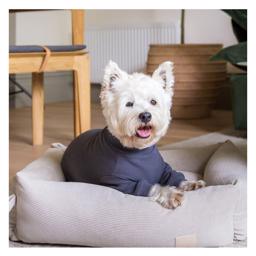 Fuzzyard Dog Pyjamas Design Life Soft Touch Slate Grey