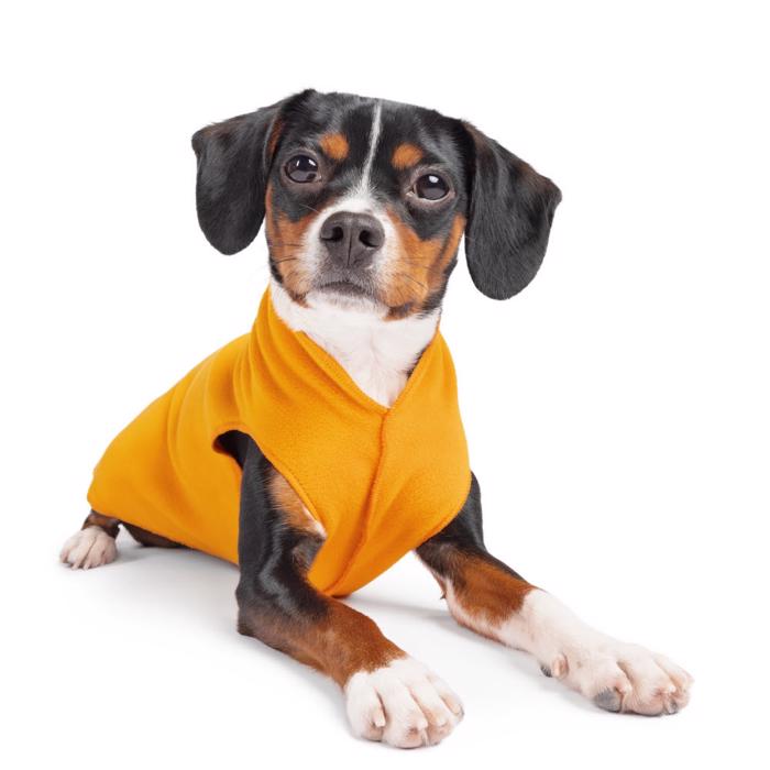 GoldPaw Dog Fleece Stretch Pullover Cheddar